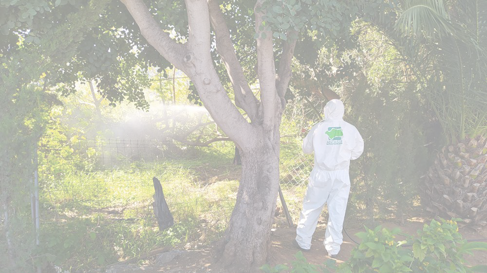 EQA certifica a ANDASUR control de plagas, S.L. en CEPA Certified®