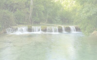 Transición Justa aplicada a las Finanzas Sostenibles