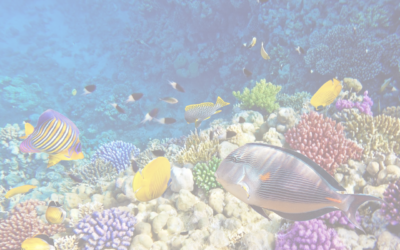 La Biodiversidad como objetivo ambiental de la UE