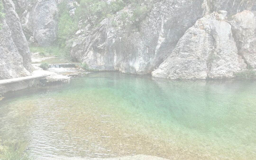 El agua: nuestra fuente de bienestar y paz